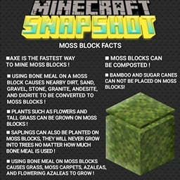 This is the Avatar Image for the BlockFacts (Remastared) AI Voice and Text to Speech Generator